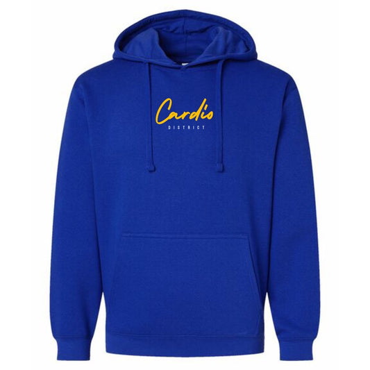 Men Cardio District pullover hoody