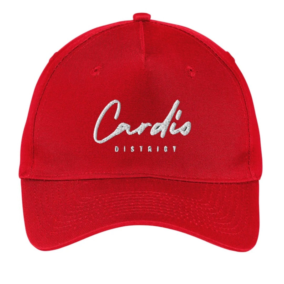 Cardio District Twill snapback Cap